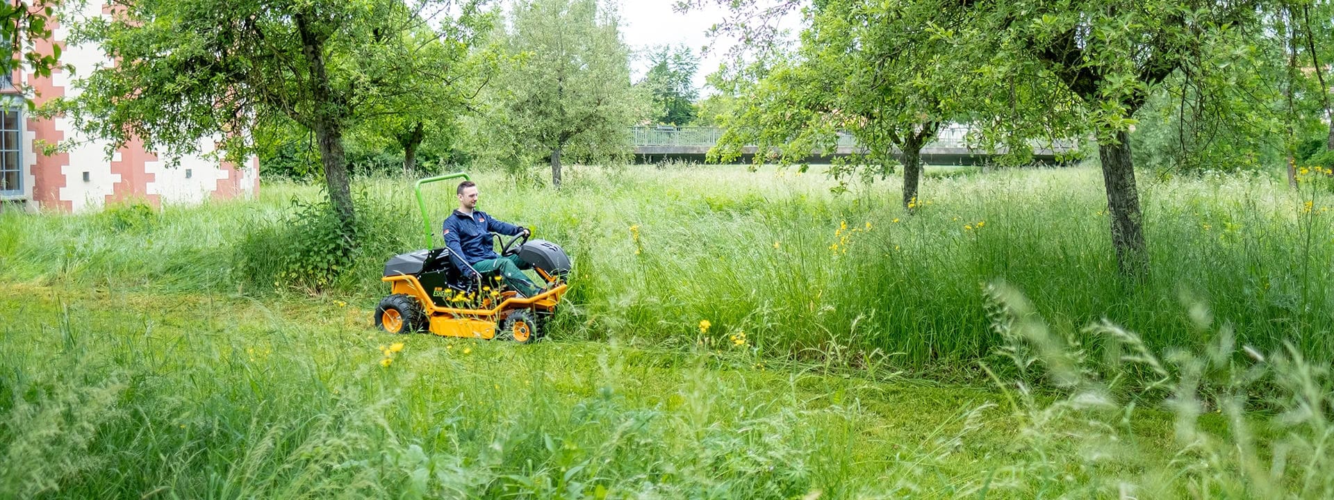 elektrischer Hochgrasmäher mit Wechsel-Akku