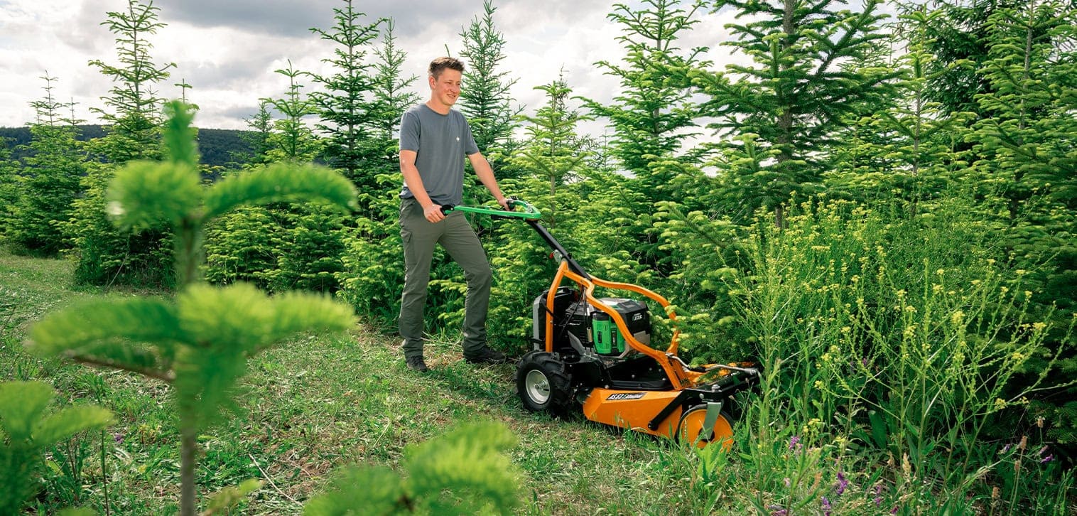 AS-Motor AS 63 E-Allmäher model shown mowing high gras in between of rows of christmas trees at a christmas tree farm