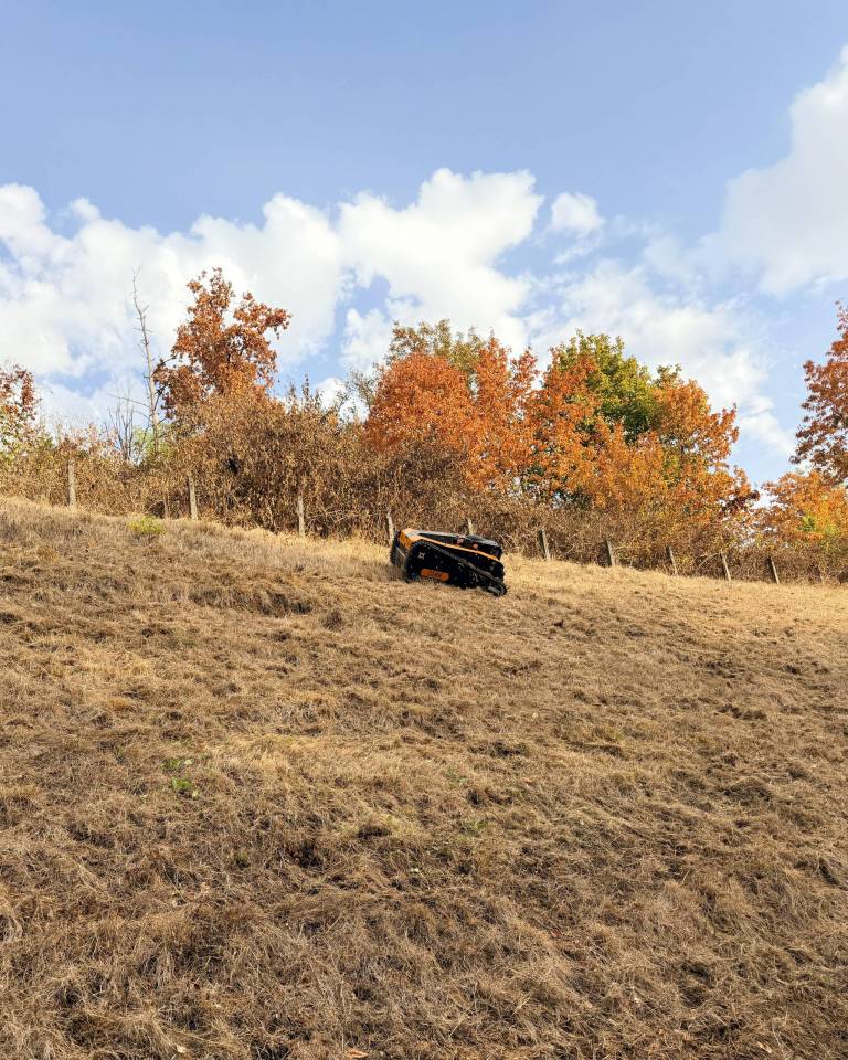 Ferngesteuerter AS 990 Tahr RC auf einem steilen trockenen Grashang
